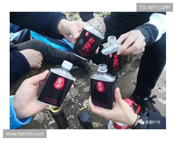 武汉极限运动队个人能力分析与提升探讨