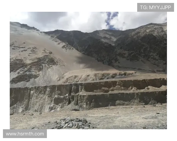 深度对话：探索黄丽在和平精英中的成长与挑战之路